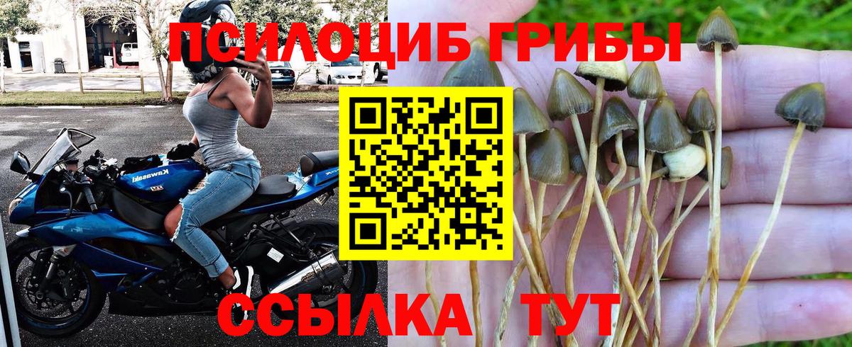 Псилоцибиновые грибы ЛСД Сухой Лог